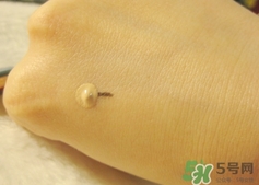 macchia label�۵�Һ��ô��?